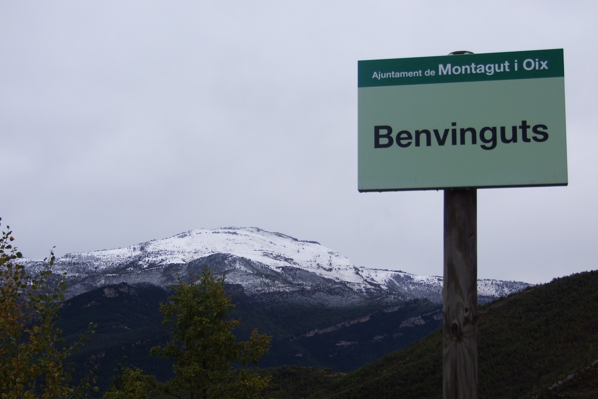 Població Montagut (Montagut i Oix) del camí