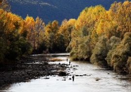 El Segre