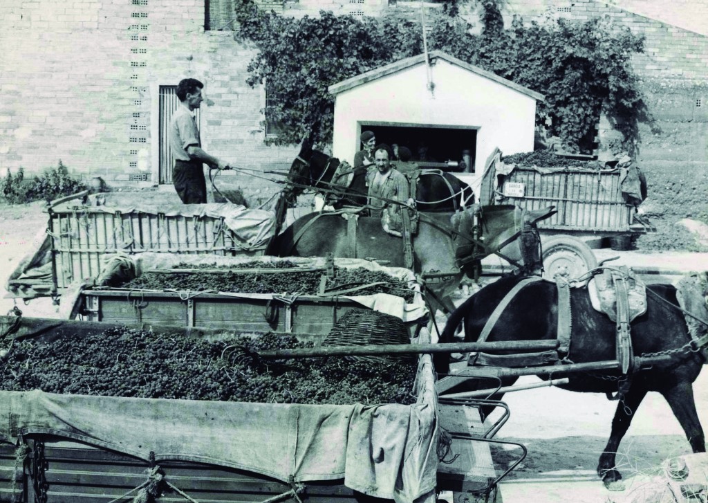 Un passeig per la història de Garcia