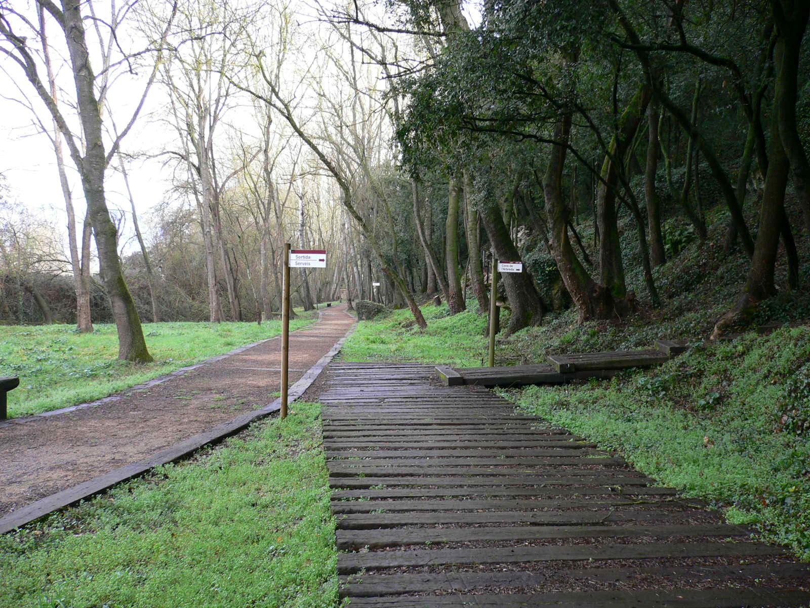 Parc de les Coves Prehistòriques de Serinyà