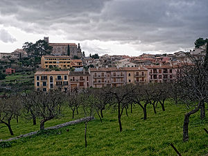 Punts d'interès de Selva