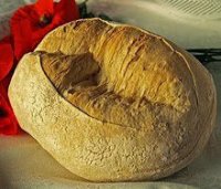 Gastronomia. Els Llonguets
