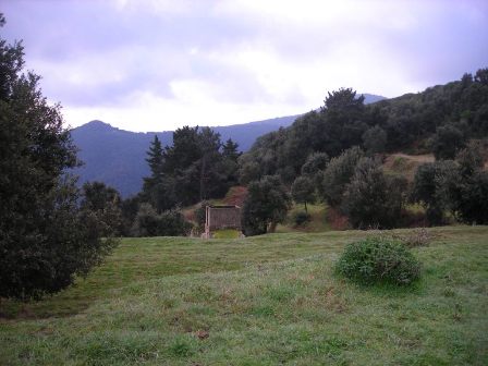 Activitat econòmica de Vallgorguina