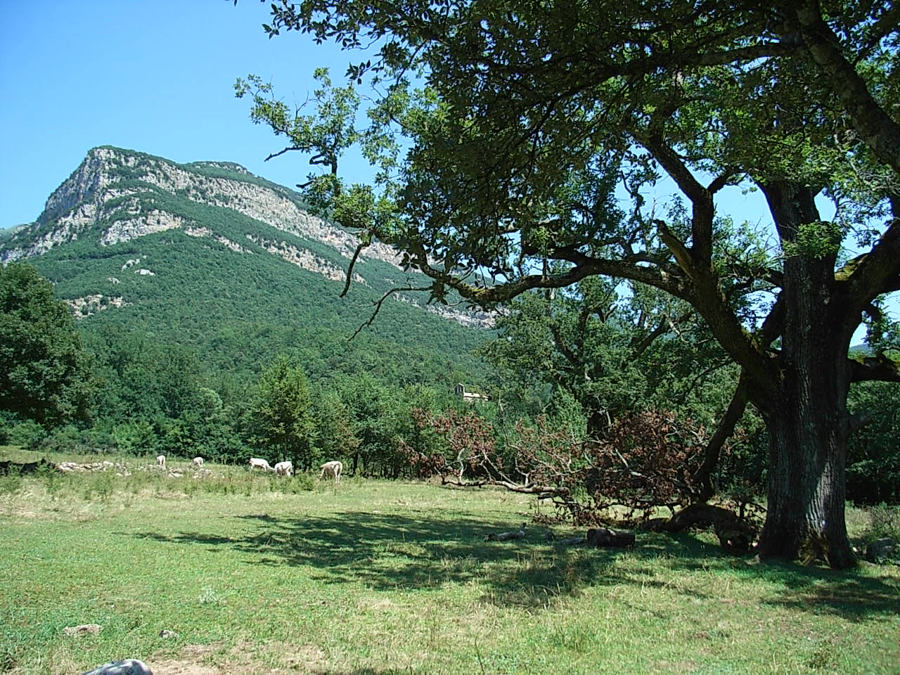 Cançons i llegendes d'Oix