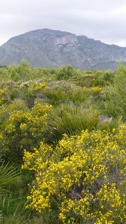 Acció ecologista Agró a la Marina Alta de Dénia