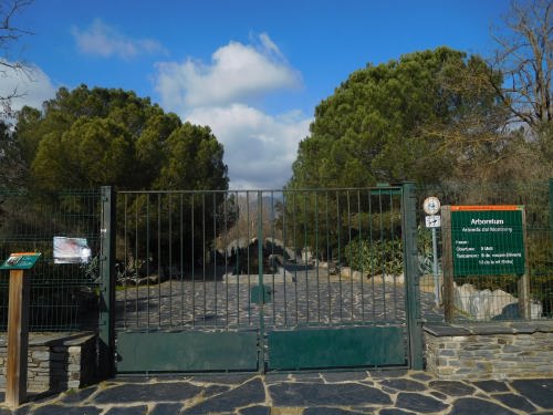 Arborètum, l'arbreda del Montseny