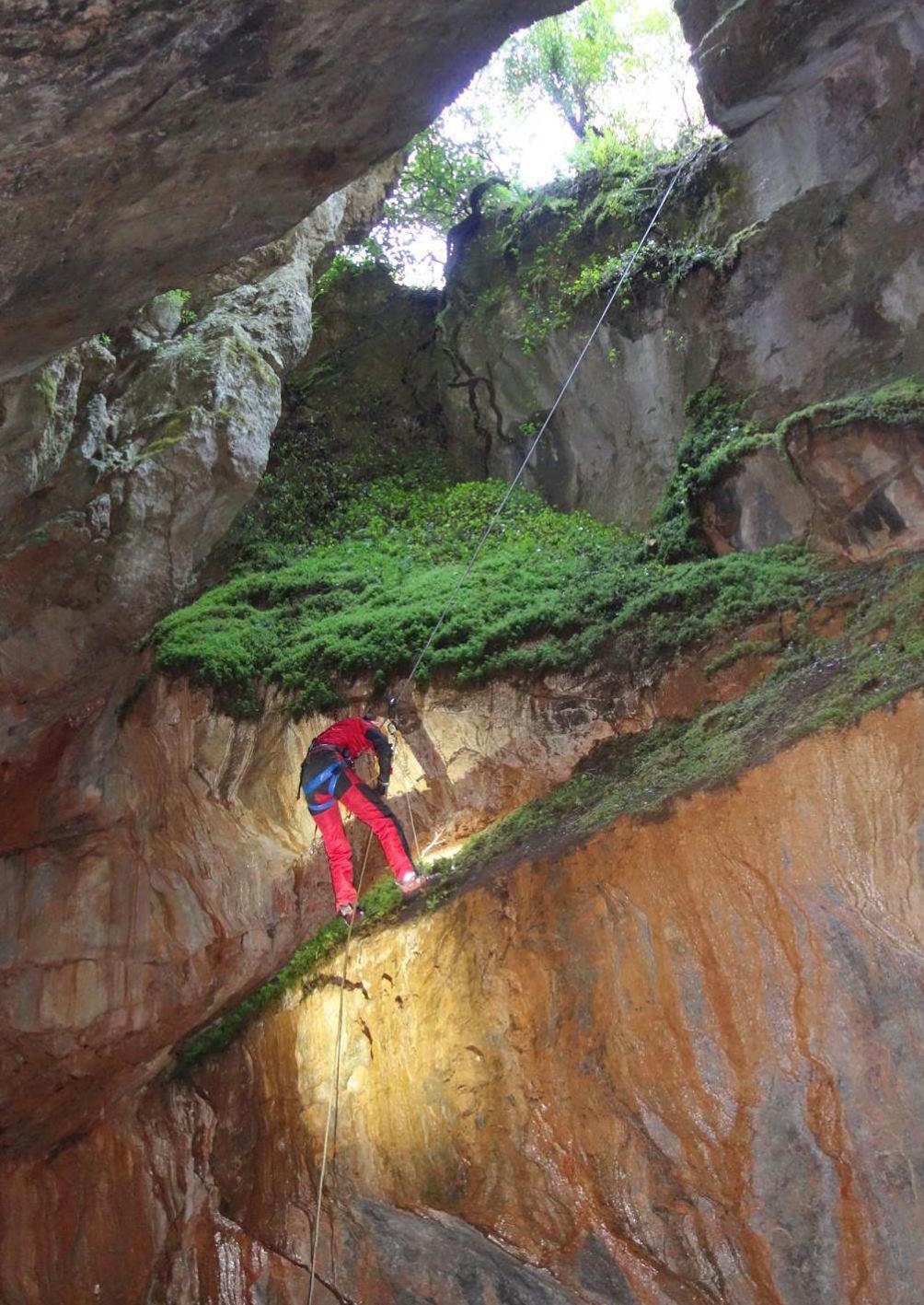 La mossa de Suera