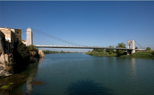 Pont penjant d'Amposta