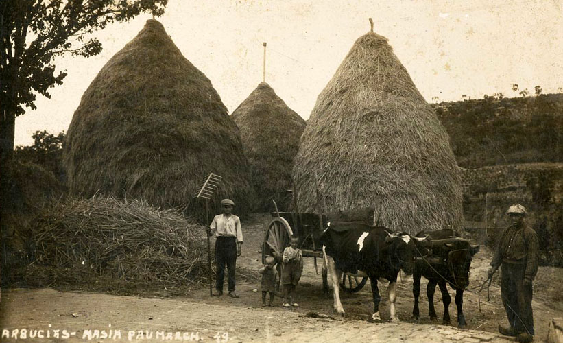 Història d'Arbúcies 