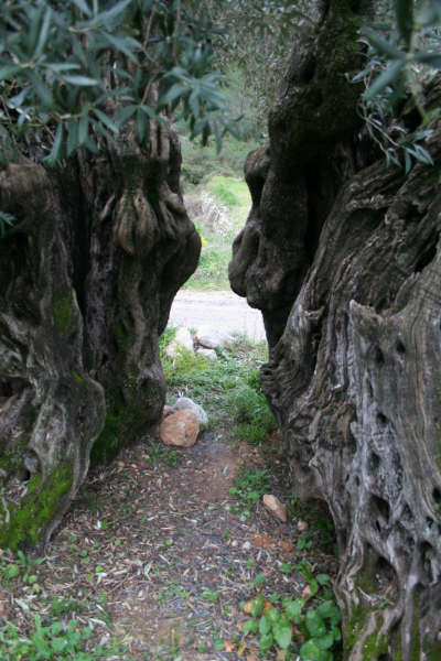 Medi i paisatge de Xaló
