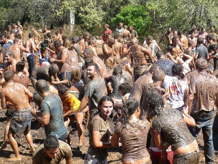 Festa des Vermar
