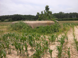 El bunker de L'Armentera