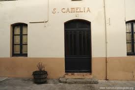 La Camèlia centenària