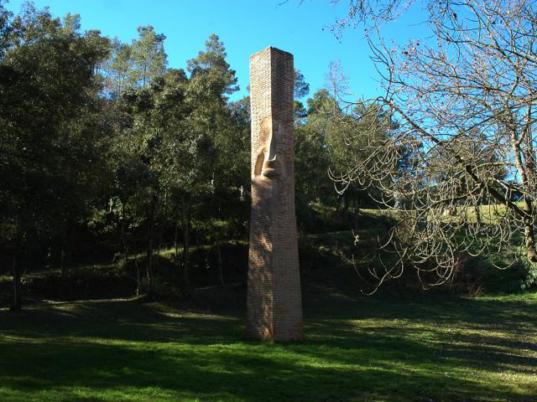 Bosc de Can Ginebreda