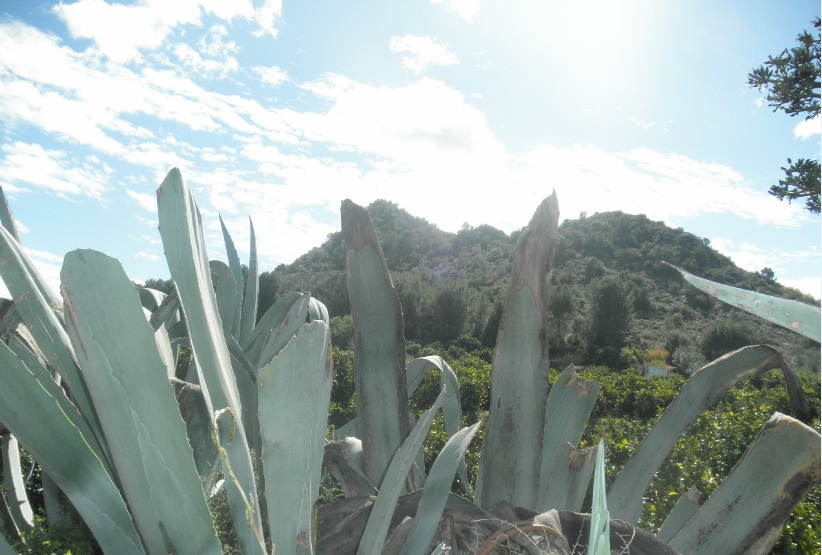  El Castellet