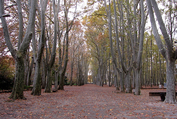 La Devesa: el parc de Girona.