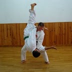 Iniciatita cultural. Associació Balear d'Escoles Zen: Gakushindojo