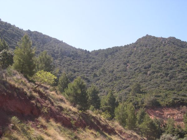 Paratge Natural "El Mollet"