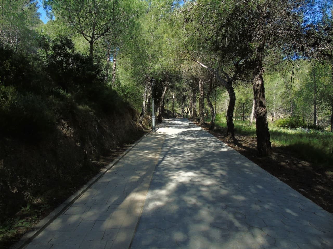 RUTA SENDERISTA: SANT VICENT-CASTELL DE L’ALCALATÉN-EMBASSAMENT DE L’ALCORA