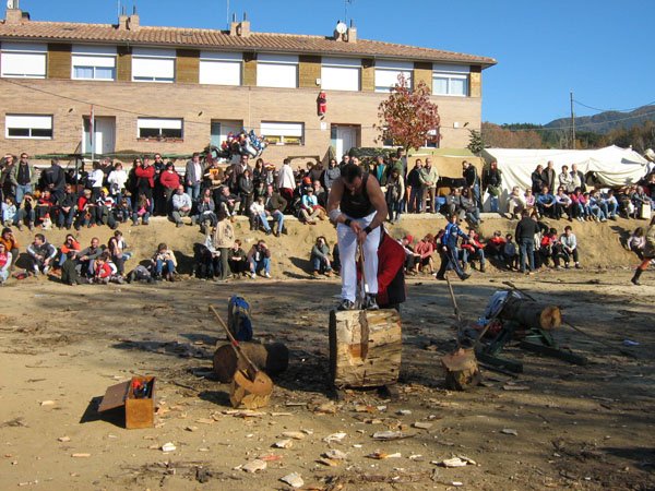 Fira del bosc i la terra de Vallgorguina