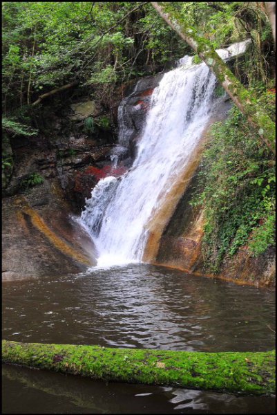 El Parc Mediambiental de Gualba
