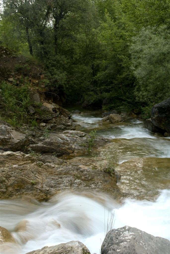 Gorgues d'Albanyà. 