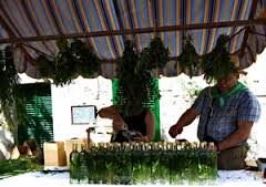Calendari de festes de Selva