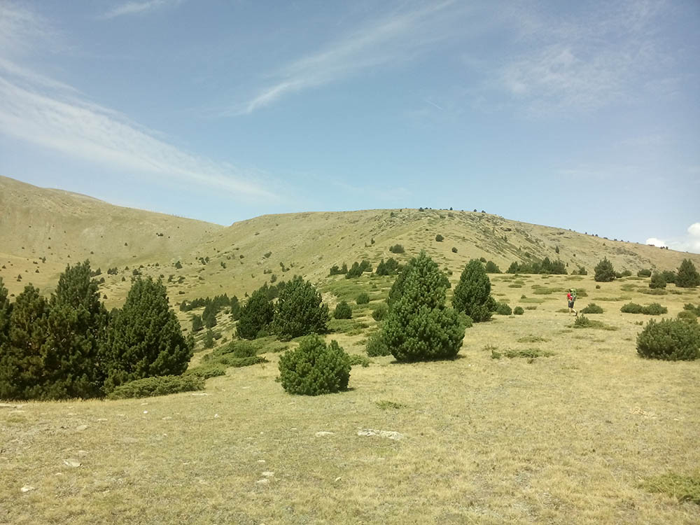 Parc Natural de l'Alt Pirineu