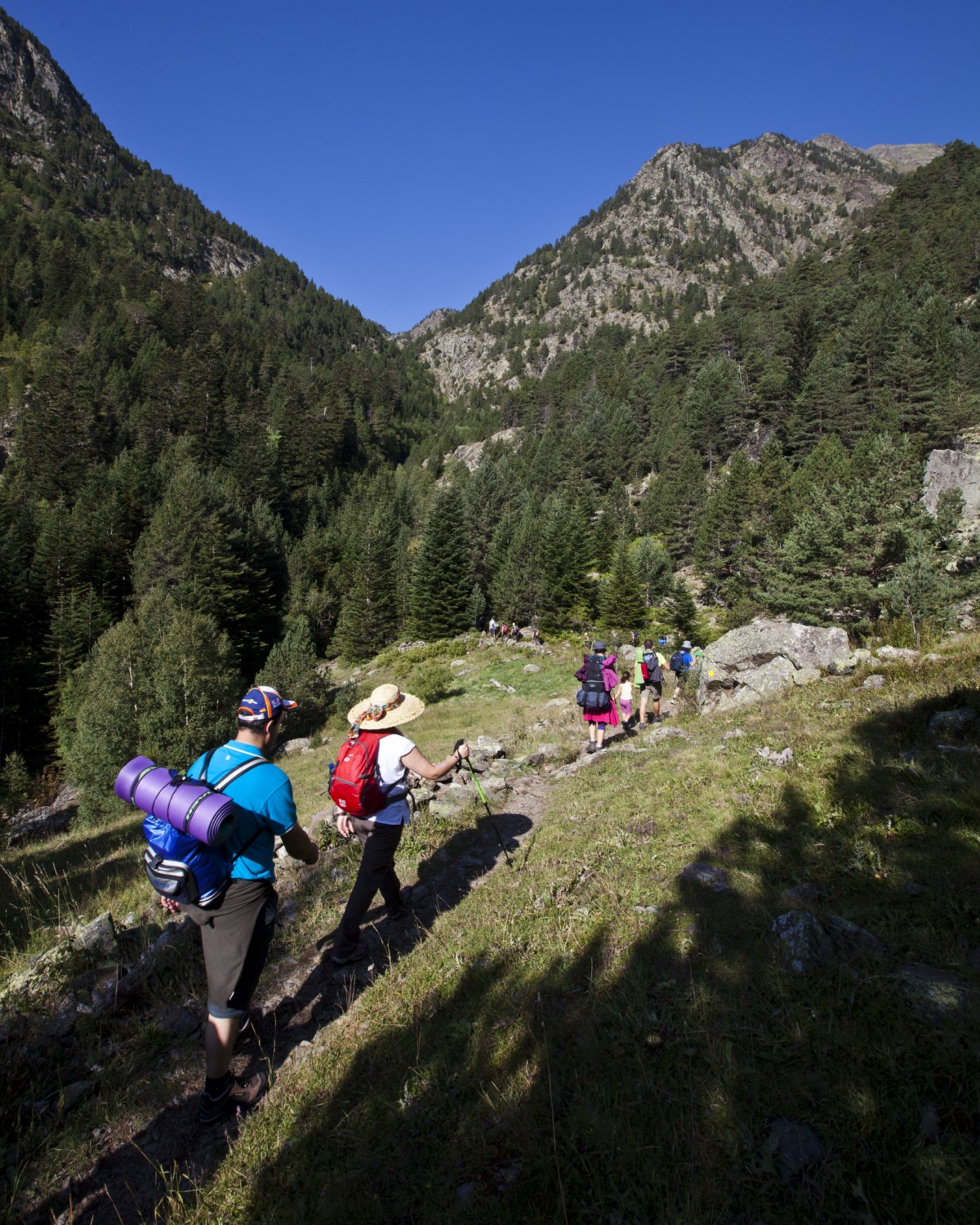 Medi natural i paisatge de Sispony (La Massana)