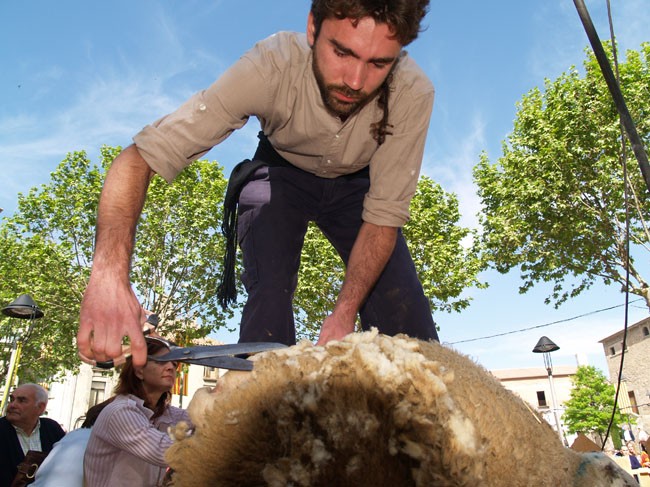 Festa Nacional de la Llana i el Casament a Pagès de Ripoll