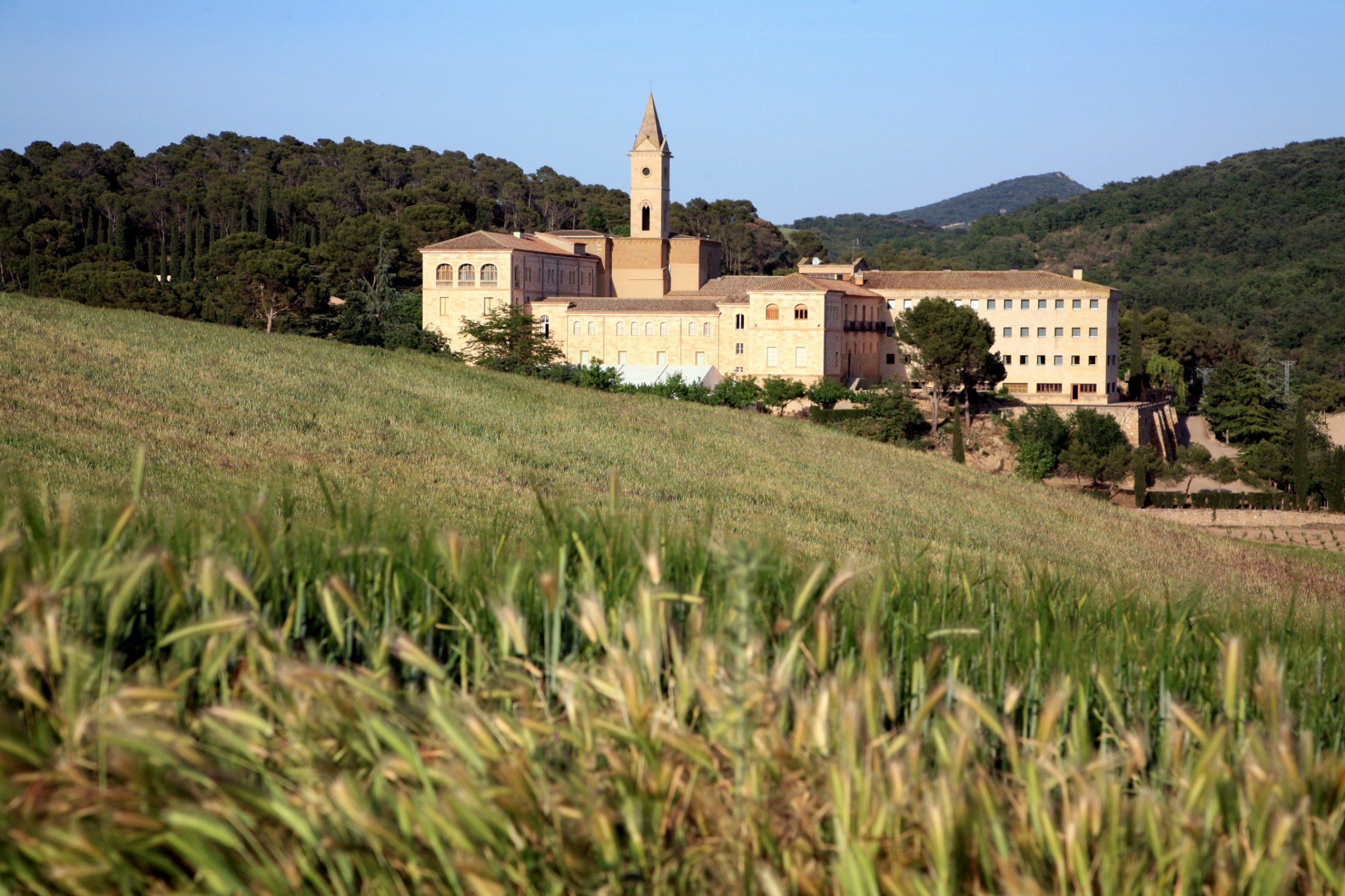 Activitat econòmica d'Os de Balaguer