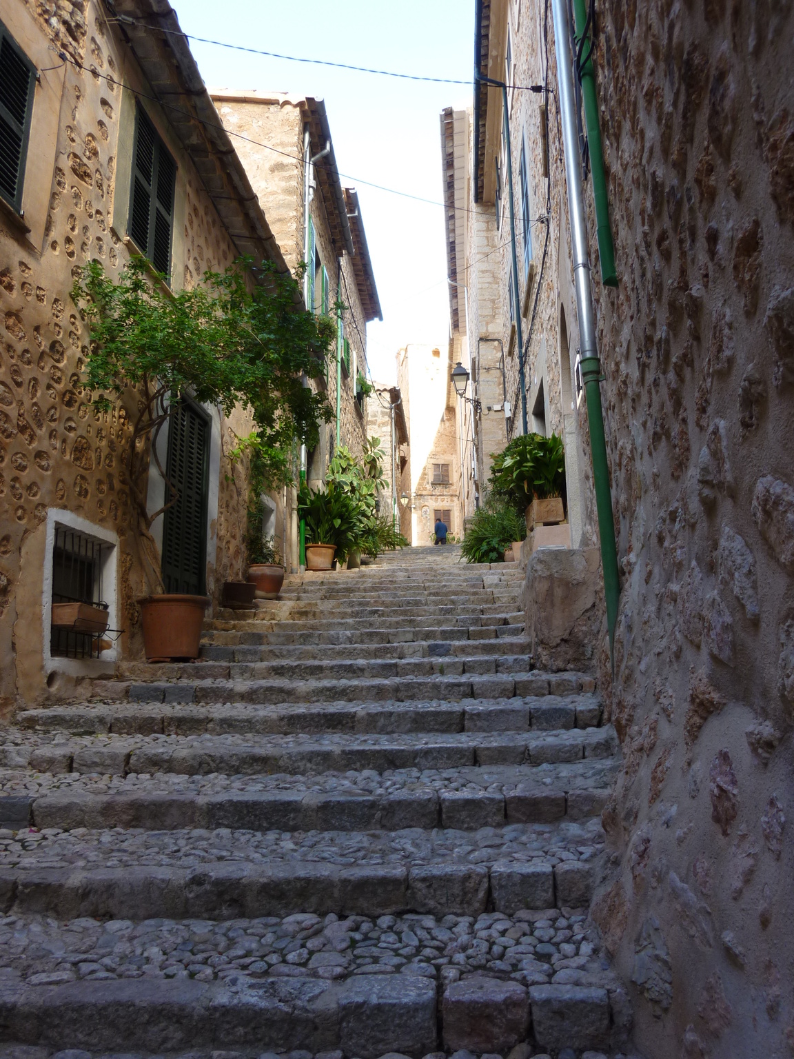 Termes locals
