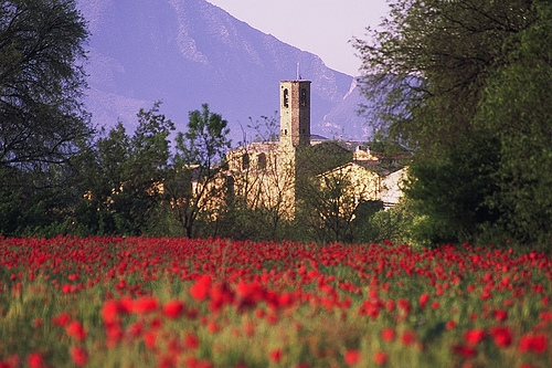 LLEGENDA DE PALAU