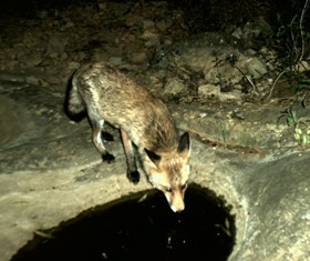 Les muntanyes de Benissa