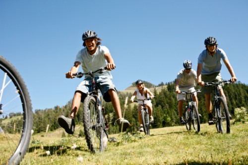Activitat econòmica de La Massana