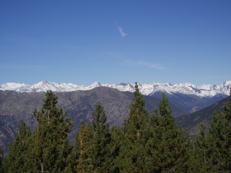 Mirador del bosc de la Rabassa 