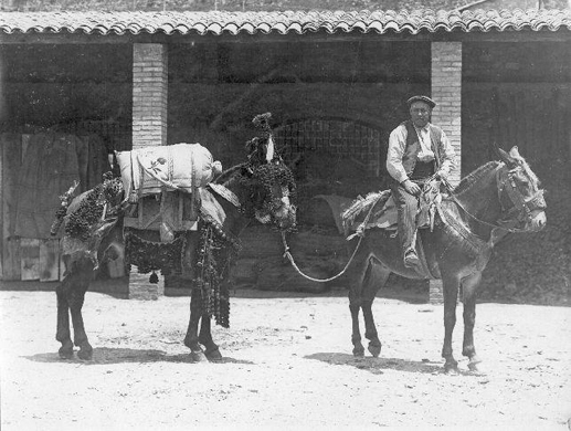 La història d'en Xixella
