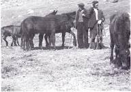 Fets històrics a La Massana