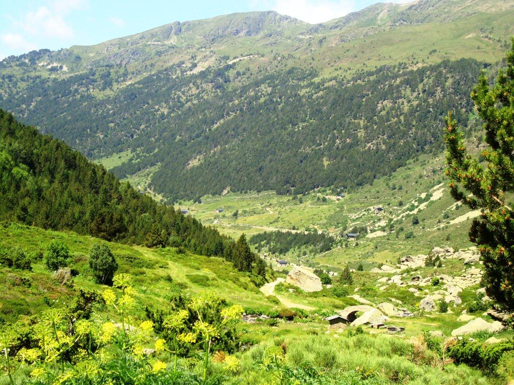 Entorn natural de Soldeu i el Tarter
