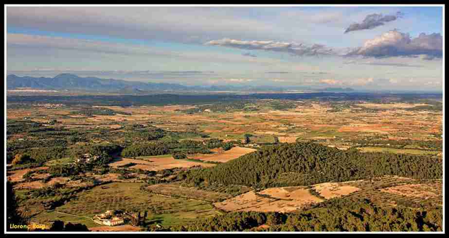 Pla de Mallorca