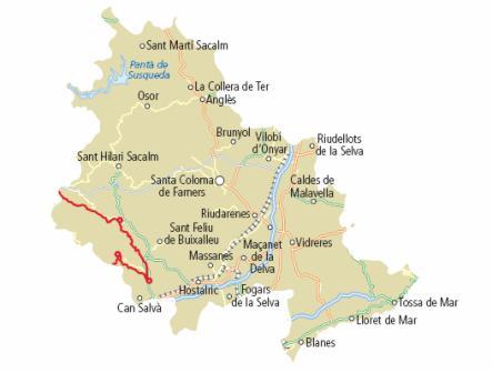 Mapa de Selva