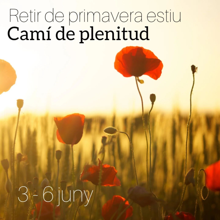 

<!-- THEME DEBUG -->
<!-- THEME HOOK: 'field' -->
<!-- FILE NAME SUGGESTIONS:
   ▪️ field--node--title--act-local-cami-portada.html.twig
   ✅ field--node--title.html.twig
   ▪️ field--node--act-local-cami-portada.html.twig
   ▪️ field--title.html.twig
   ▪️ field--string.html.twig
   ▪️ field.html.twig
-->
<!-- 💡 BEGIN CUSTOM TEMPLATE OUTPUT from 'themes/custom/cami_theme/templates/field/field--node--title.html.twig' -->
<span class=