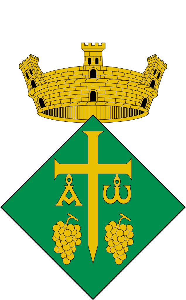 Escut de Avinyó