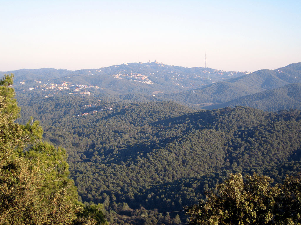 Parc Natural de Collserola
