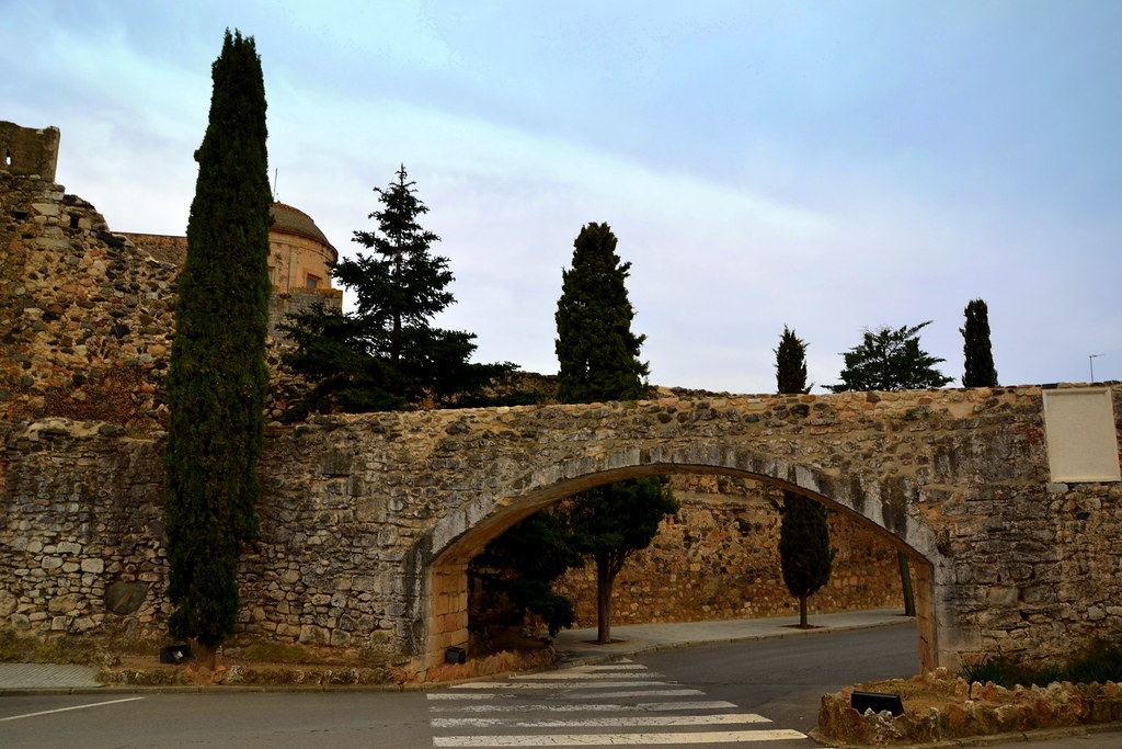 Recorrent el Camp de Tarragona