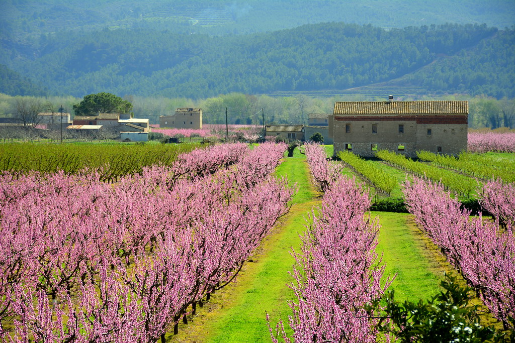 Travessant la Serra de Pàndols i remuntant l'Ebre