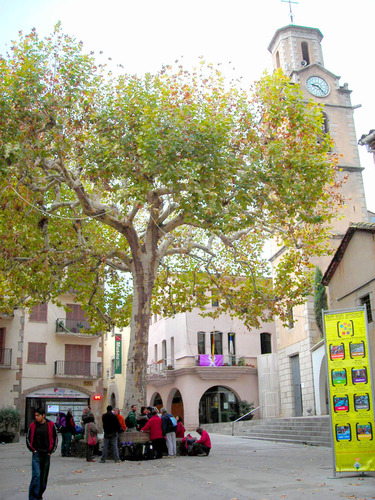 Església d'Arbúcies