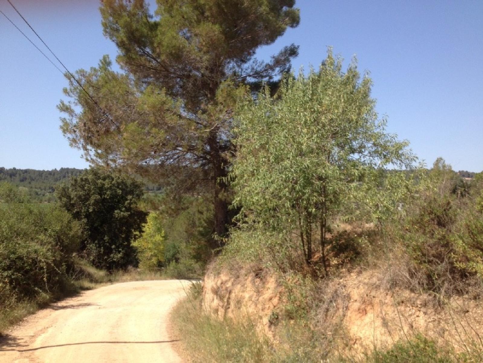 de camí pel Penedès