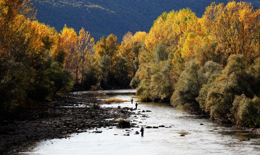 El Segre