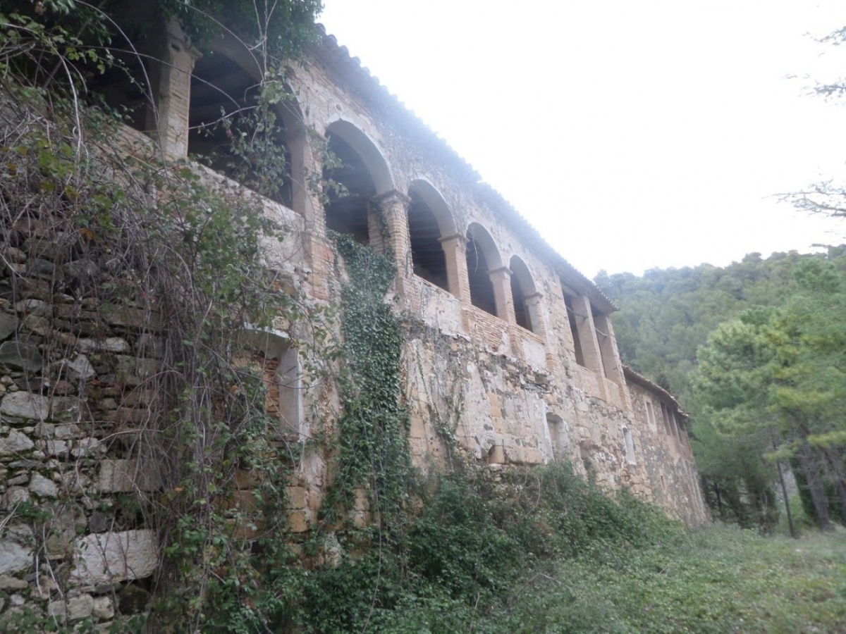 El Camí dels Cartoixans